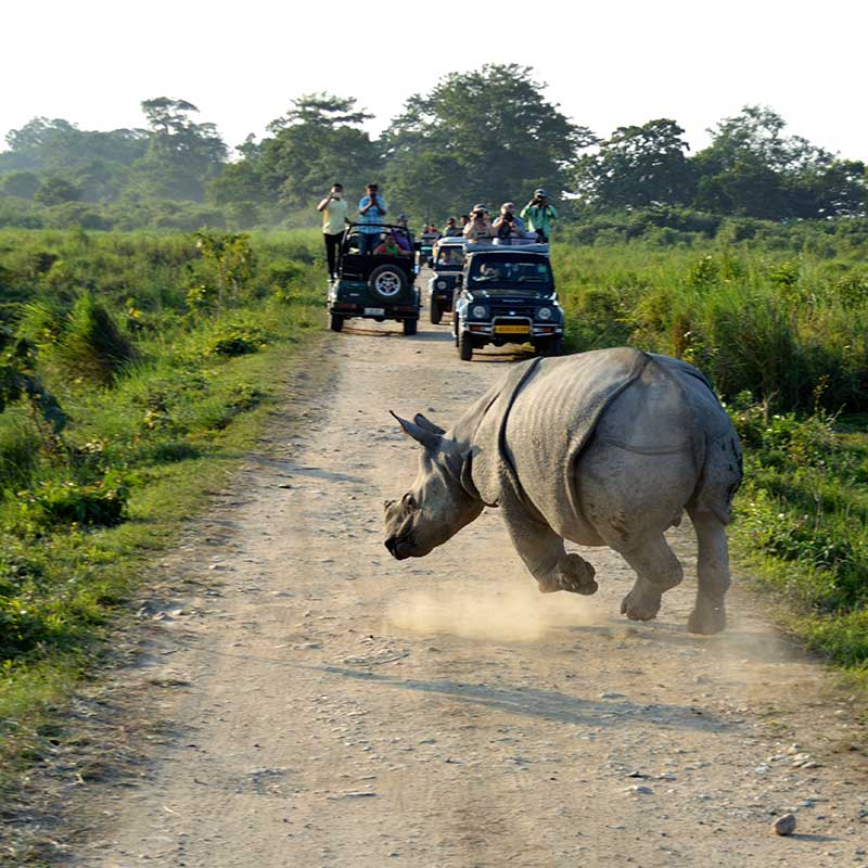 Beautiful North East