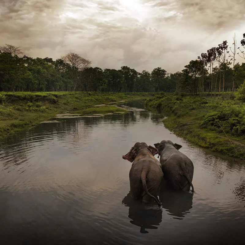 Beautiful North East